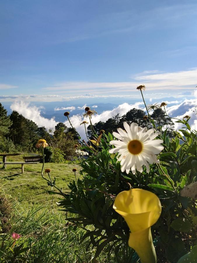 El Pital Ecolodge San Ignacio Buitenkant foto