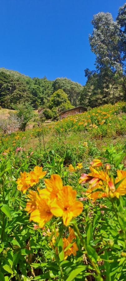 El Pital Ecolodge San Ignacio Buitenkant foto